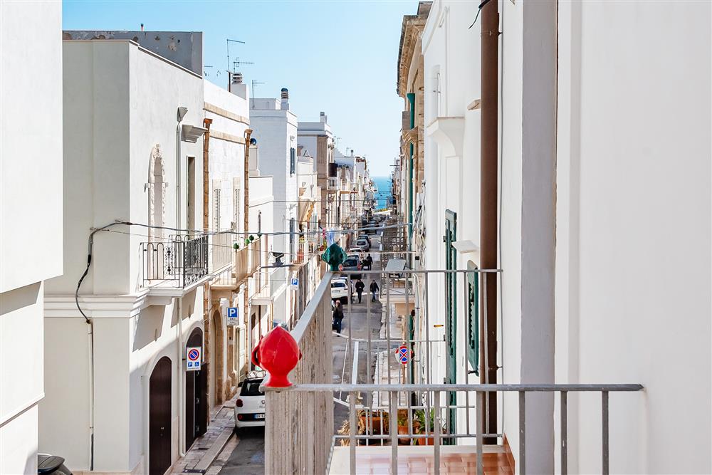 AllegatoFL-249TRIS-11