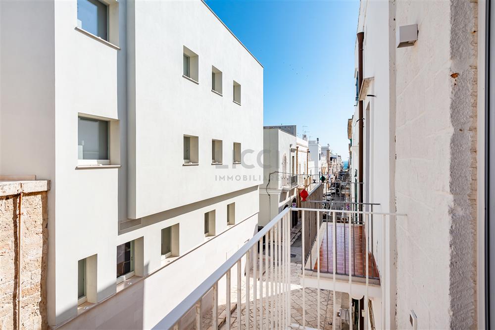 AllegatoFL-249TRIS-13