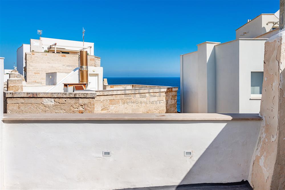 AllegatoFL-249TRIS-14