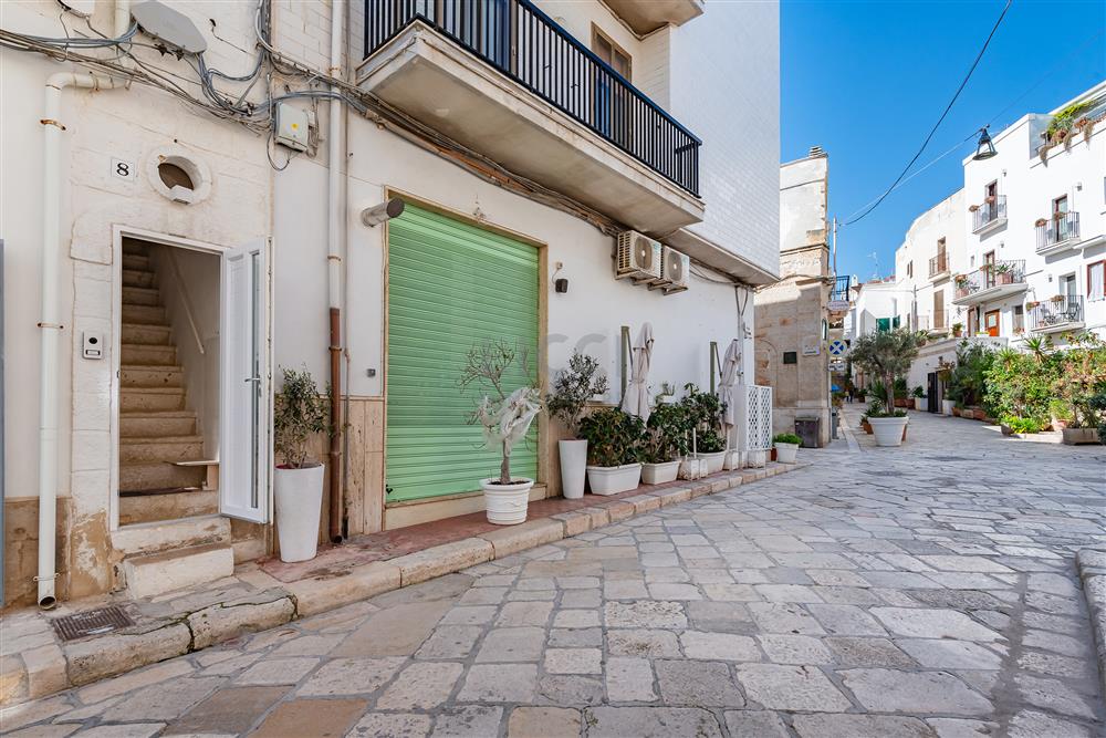 AllegatoFL-249TRIS-16