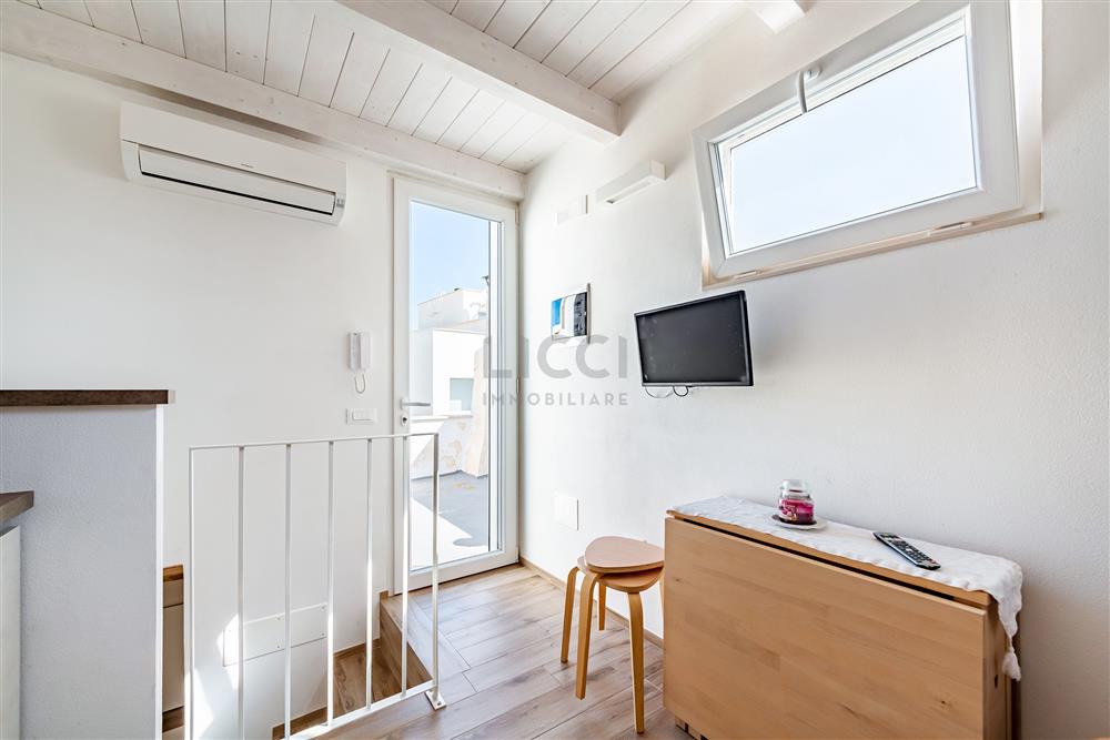 AllegatoFL-249TRIS-6