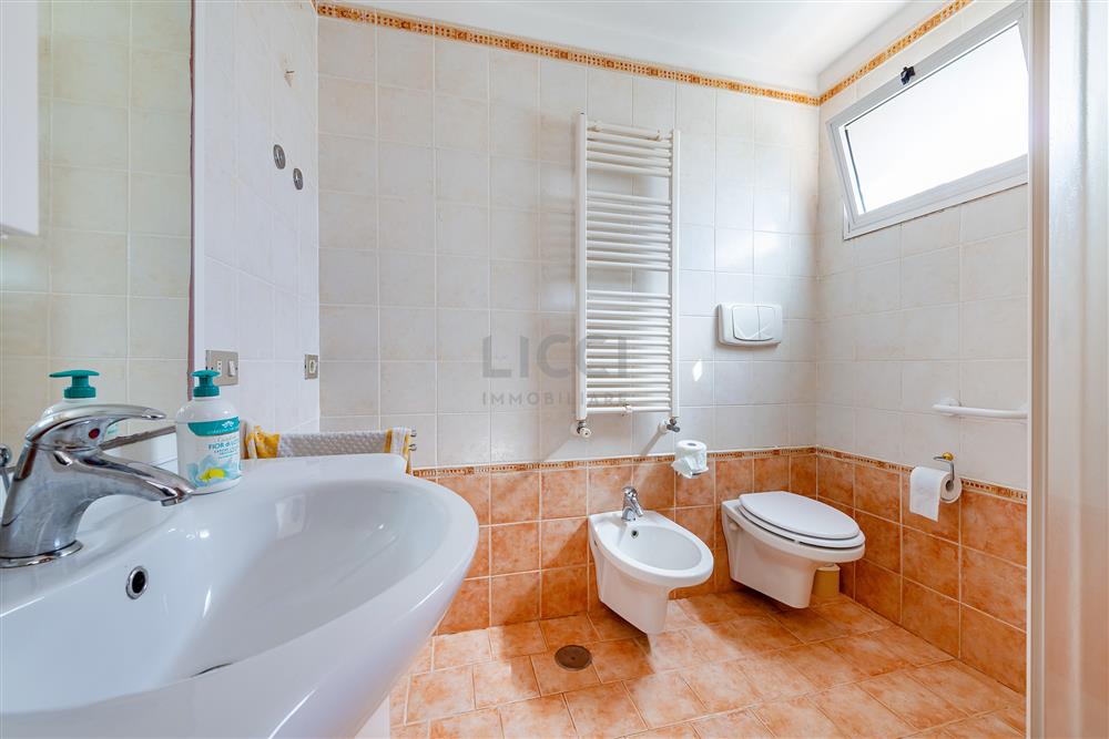 AllegatoFL-251BIS-16