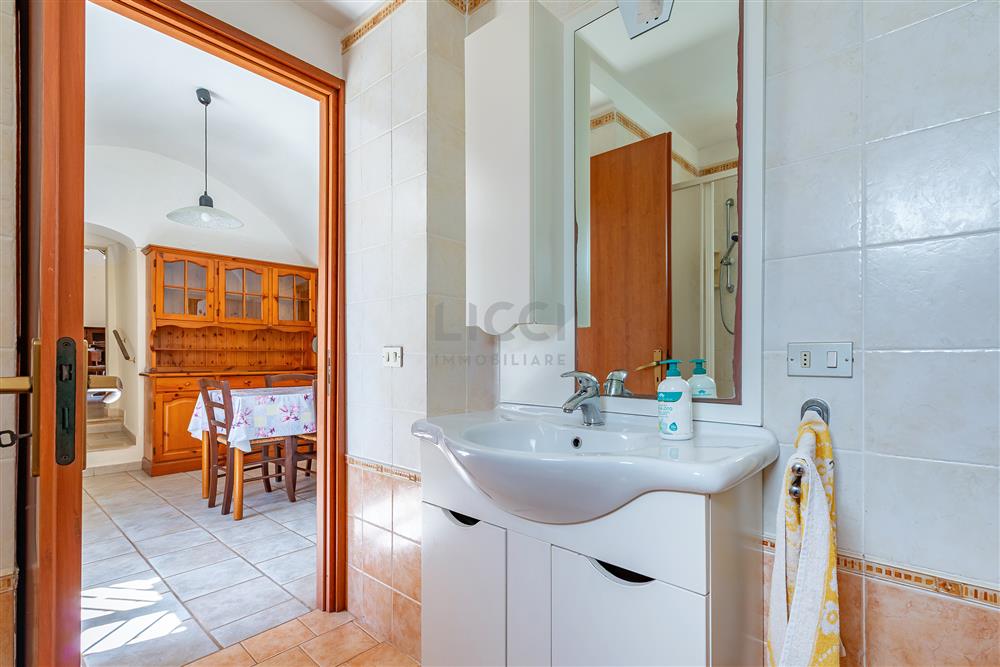 AllegatoFL-251BIS-17