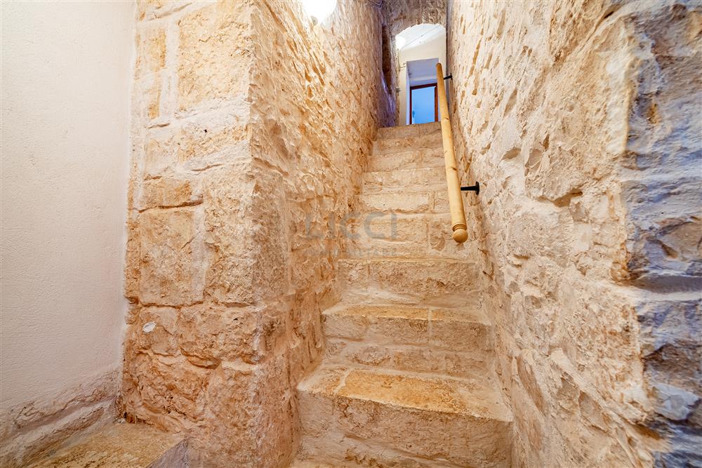 AllegatoFL-251BIS-19