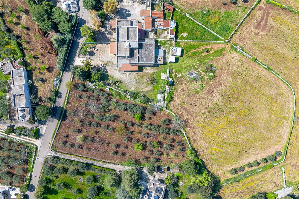 AllegatoFL-251BIS-24