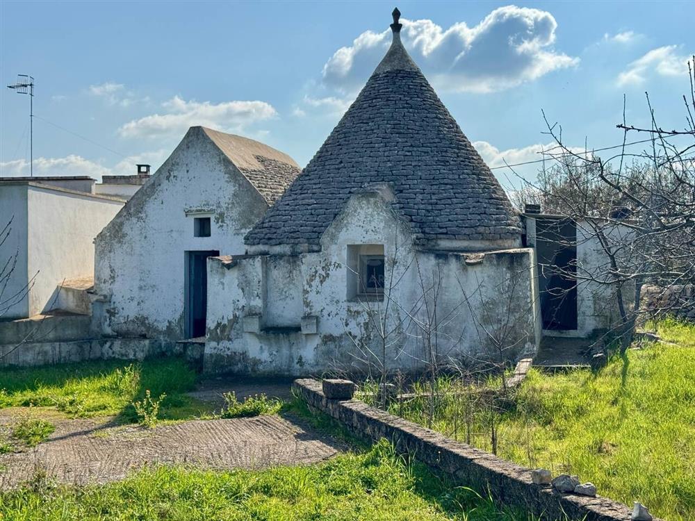 AllegatoFL-246TRIS-0