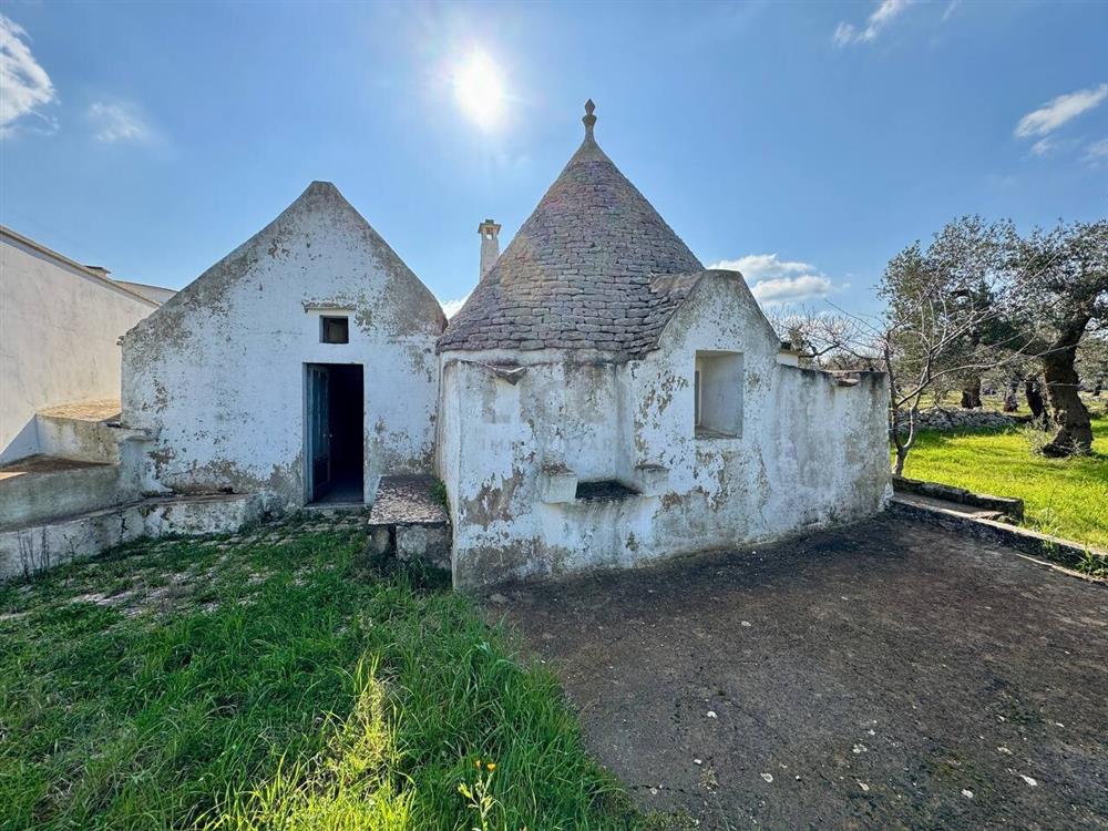 AllegatoFL-246TRIS-1