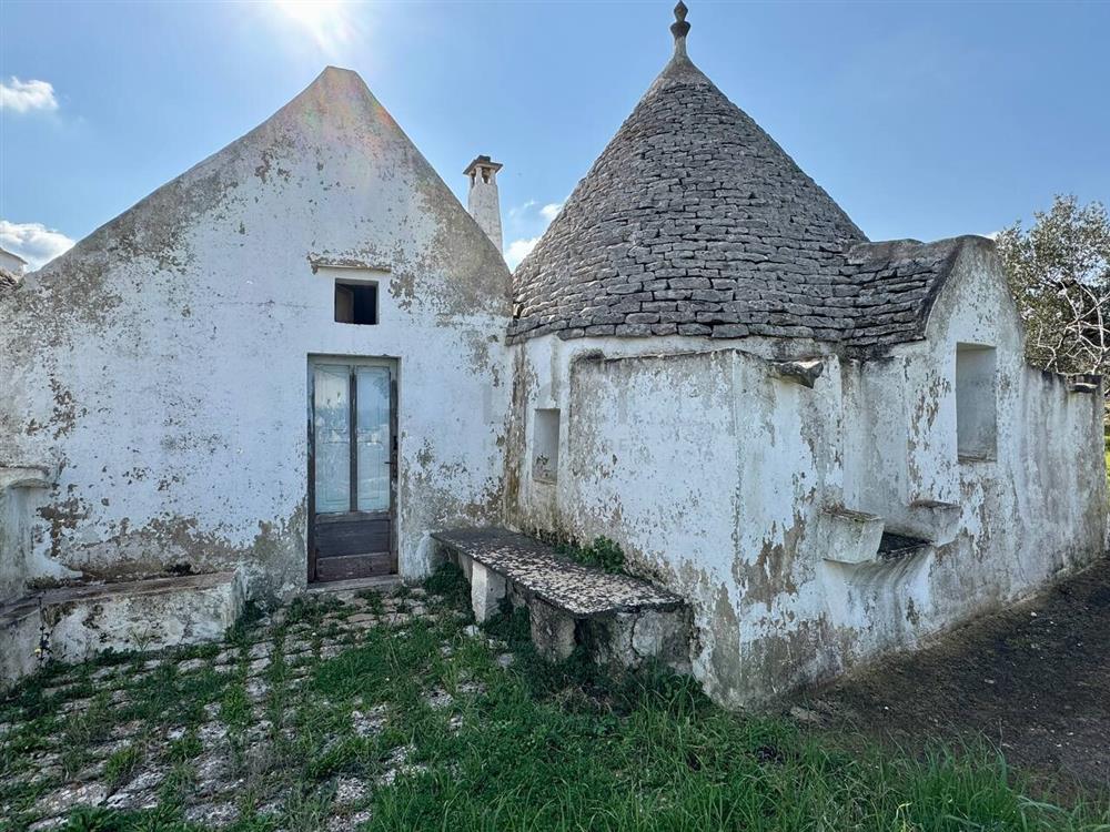 AllegatoFL-246TRIS-3