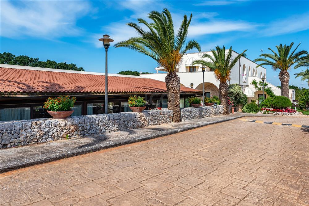 AllegatoATT-001-2026-12