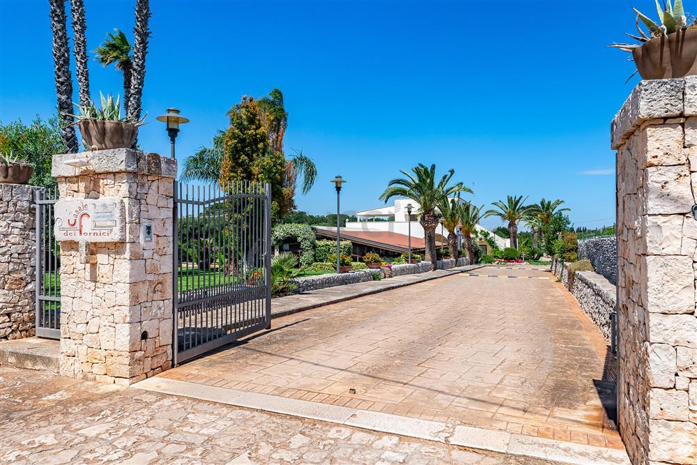 AllegatoATT-001-2026-47