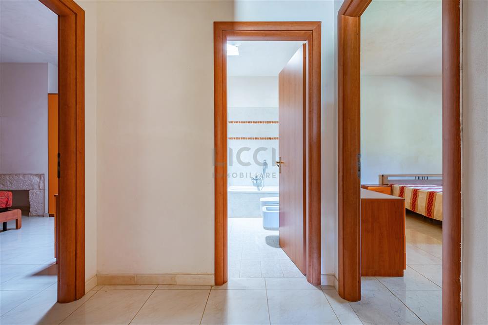 AllegatoFL-251BIS-13