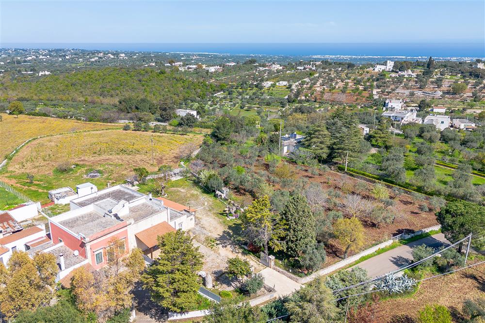 AllegatoFL-251BIS-25