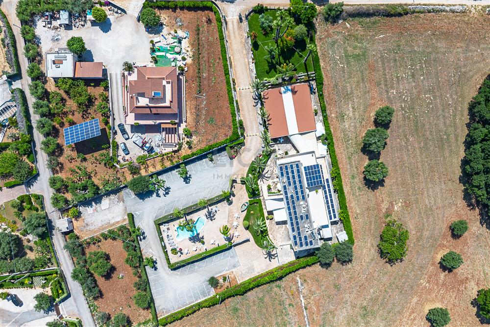 AllegatoATT-001-2026-10