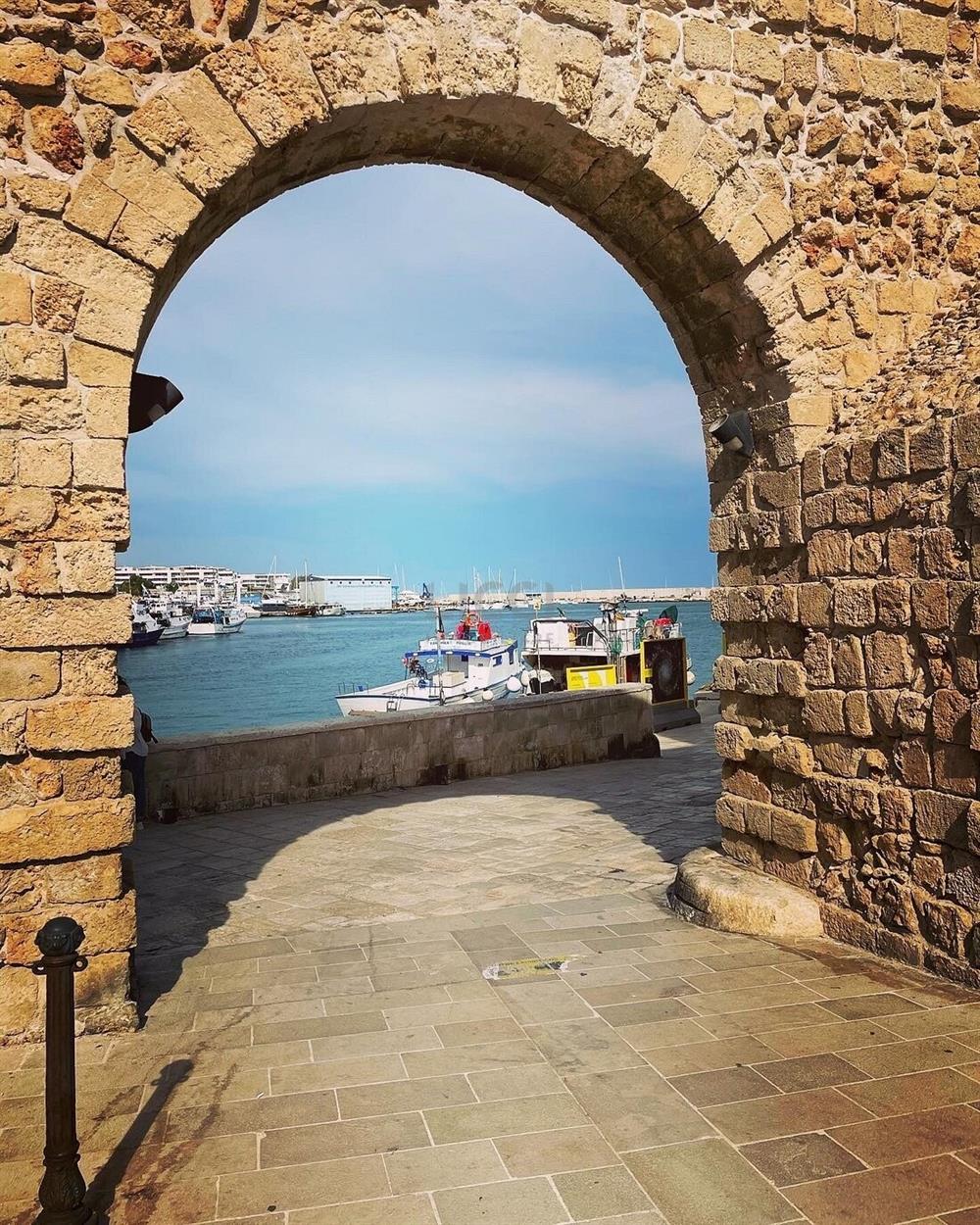 AllegatoATT-005-2024-1