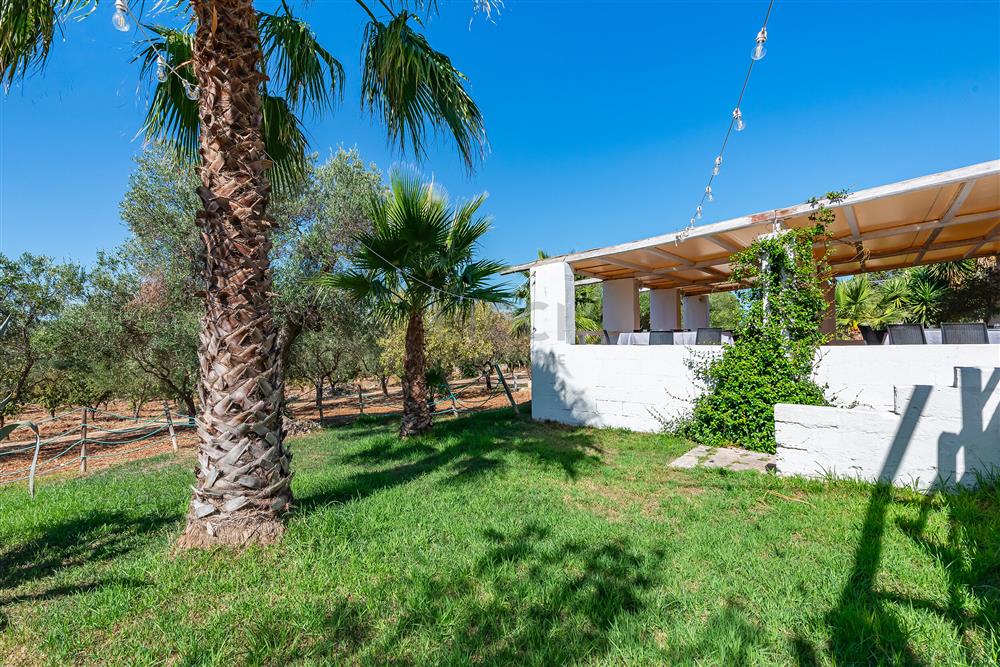 AllegatoATT-017-2024-10