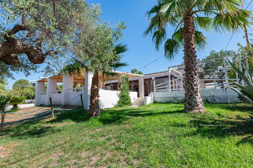 AllegatoATT-017-2024-11