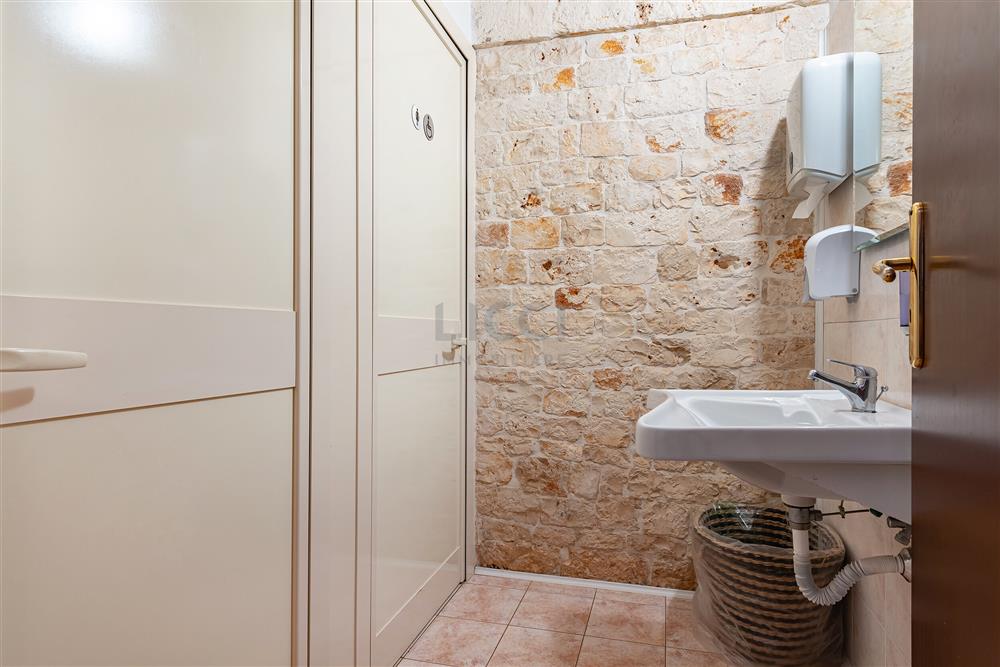 AllegatoATT-017-2024-28