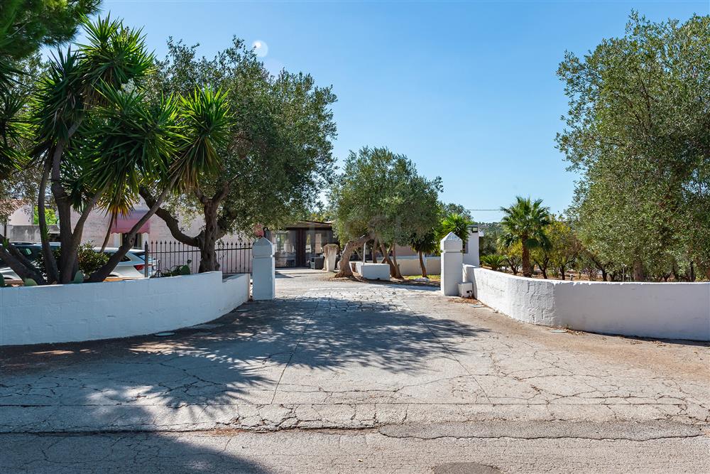 AllegatoATT-017-2024-29