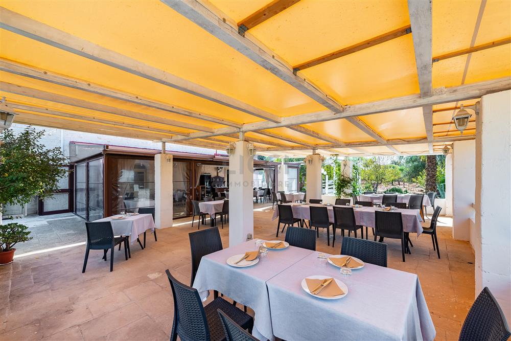 AllegatoATT-017-2024-7