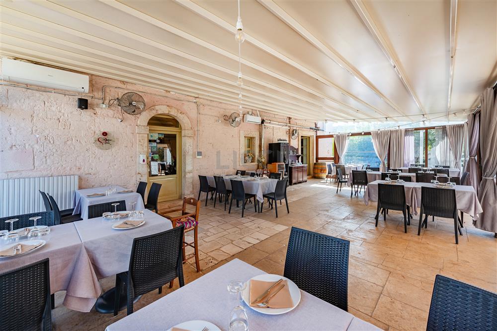 AllegatoATT-017-2024-8