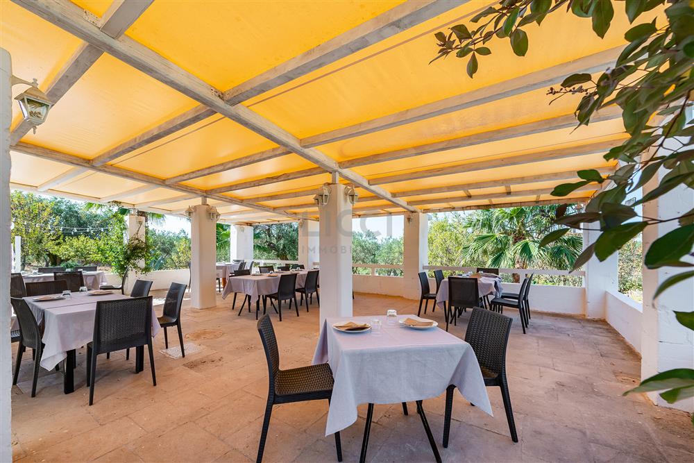 AllegatoATT-017-2024-9