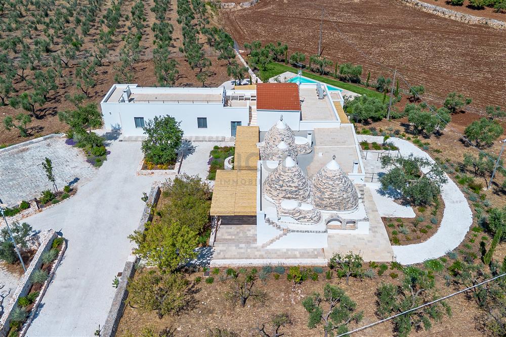 AllegatoATT-017-2025-1