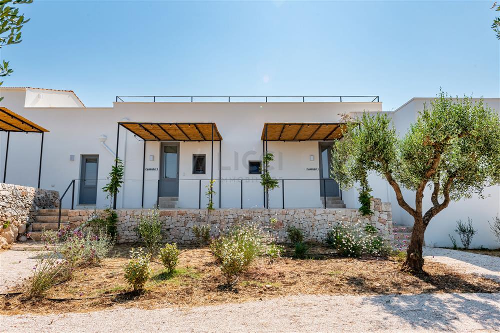 AllegatoATT-017-2025-12