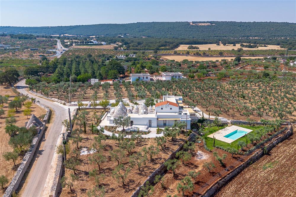 AllegatoATT-017-2025-41