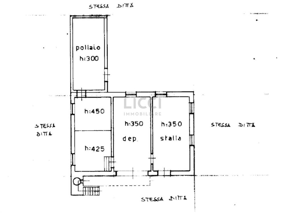 AllegatoFL-284-31
